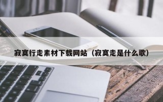 中山寂寞行走素材下载网站（寂寞走是什么歌）